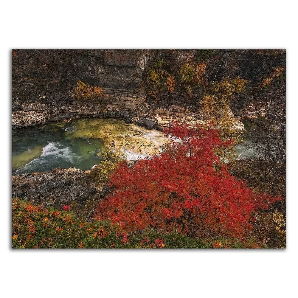 "Abisko Mountain Ash" by Hans Logren, Print on Canvas, Ready to Hang